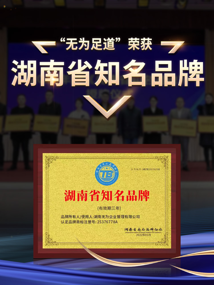湖南省知名企业